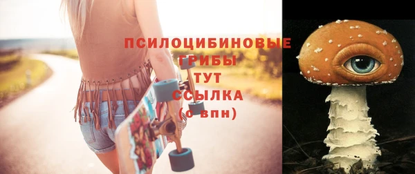 винт Баксан