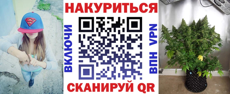 Конопля семена  Снежногорск 